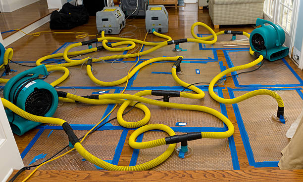 Professional Crawl Space Water Removal technician working in Westover, AL